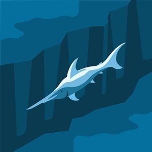 Meet your Posher, Lynnell